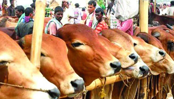 হাটেই হাঁড়ি ভাঙবে ‘করোনা’!