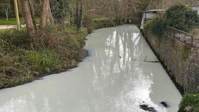 রাতারাতি দুধের নদীতে পরিণত হলো দুলাইস নদী
