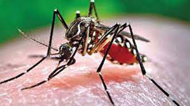 দেশে গত ২৪ ঘণ্টায় আরও ১৭০ ডেঙ্গু রোগী হাসপাতালে