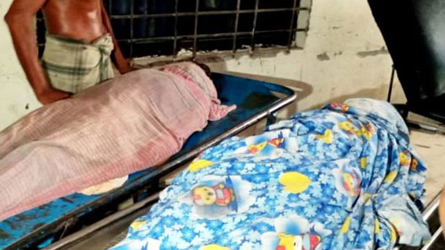কুষ্টিয়ায় সড়ক দুর্ঘটনায় স্কুল শিক্ষকসহ নিহত ২