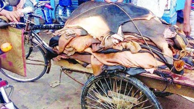 চামড়াবাহী যানবাহন চলবে কঠোর লকডাউনে