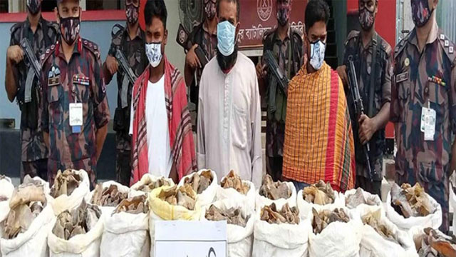 চাঁপাইনবাবগঞ্জে ২ কোটি টাকার কচ্ছপের হাড়সহ গ্রেপ্তার ৩