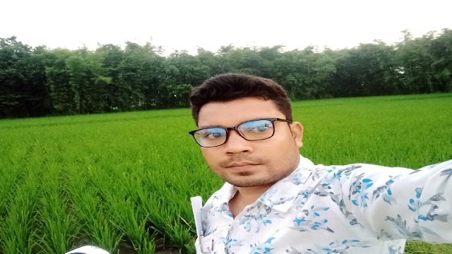 ঠাকুরগাঁওয়ের পীরগঞ্জে মাঠে ফলন ভালো হওয়ায় কৃষকের মুখে হাসি