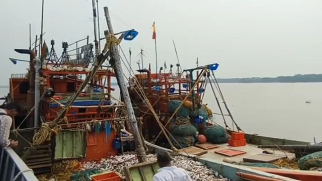 বঙ্গোপসাগর, ভারতীয় জেলে, আটক, কুয়াকাটা, নৌ-বাহিনী,