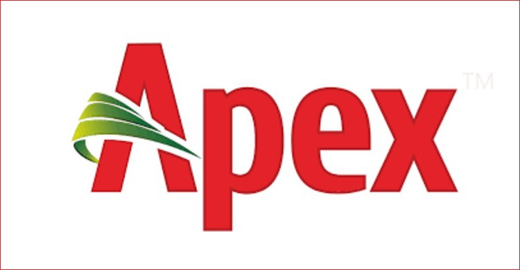 Newshunter24, Deputy Manager, Jobs, Apex, Recruitment Notification