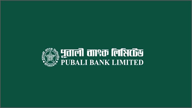Newshunter24, Jobs, Pubali Bank, Application, Recruitment,